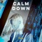 Calm Down (feat. Rema) artwork