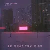 Do What You Wish - Single album lyrics, reviews, download
