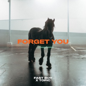 FAST BOY & Topic - Forget You - Line Dance Music
