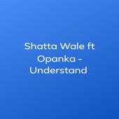 Understand (feat. Opanka) artwork