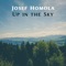 Everglow - Josef Homola lyrics