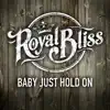 Baby Just Hold On song lyrics