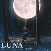 Luna artwork