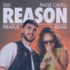 Reason (Pirapus Remix) - Single