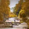 Stream & download Soothing River stream in Forest for Deep Relaxation - Single