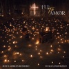 Fue Tu Amor - Single