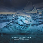 Intricate Sessions, Vol. 4 (DJ Mix) artwork