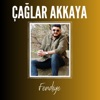 Fendiye - Single