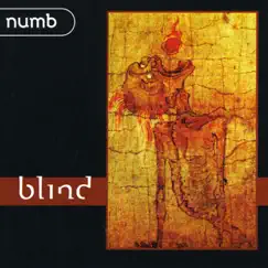 Blind (Dive/Monolith Remix) Song Lyrics