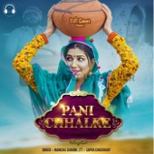 Pani Chhalke (feat. Sapna Choudhary) artwork