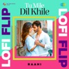 Tu Mile Dil Khile (Lofi Flip) - Single