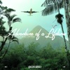 Adventure Of A Lifetime (feat. Dom Fricot) - Single