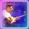 Haber Sal Sevdiğim - Single