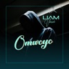 Omwoyo - Single