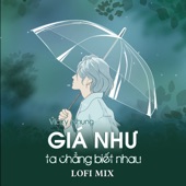 Giá Như Ta Chẳng Biết Nhau (Lofi Mix) artwork