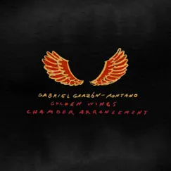 Golden Wings (Chamber Arrangement) - Single by Gabriel Garzón-Montano album reviews, ratings, credits