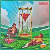 Saint Motel - Fine Wine
