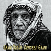Dengbeji Grani (Remix) artwork