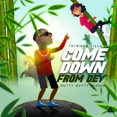 Come Down From Dey (feat. Trinidad Killa & Kevin Des Vignes) artwork