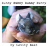 BUNNY BUNNY BUNNY BUNNY - Single