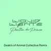 Liquid Lights (Deakin of Animal Collective Remix) - Single album lyrics, reviews, download