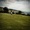 Will Cookson - August Song