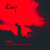 Miłość W Czasach Samotności artwork