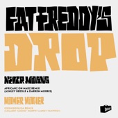 Fat Freddy's Drop - Mother Mother - Cosmodelica Remix