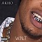 W.N.T - Akiio lyrics