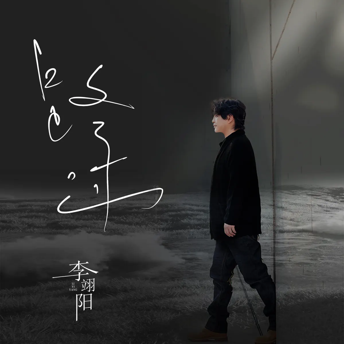 李翊阳 - 路过 (2023) [iTunes Plus AAC M4A]-新房子