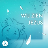 Wij zien Jezus (883) artwork