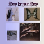 Pray For Your Prey - EP artwork