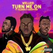 Turn Me On (feat. Olamide & Jamopyper) artwork