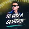 Te Voy a Olvidar - Single