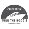 Turn the Boogie - Single