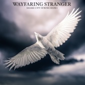 Shake City String Band - Wayfaring Stranger