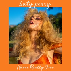 NEVER REALLY OVER cover art