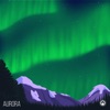 Aurora Vol. 1, 2021