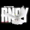 Rndy - Single album lyrics, reviews, download