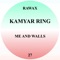 K.Feelings 3 - Kamyar Ring lyrics