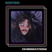 Crumbsnatchers - Seeping