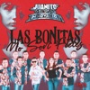 Las Bonitas No Son Fieles - Single