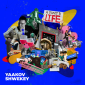 A Toast to Life - Yaakov Shwekey