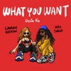 What You Want (DeJa Vu) - Single