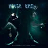 Never Know - Single (feat. Luke Jones) - Single album lyrics, reviews, download