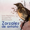 Zorzales de Antaño - Juan Darienzo - Quejas Del Bandoneón