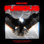 Furious (feat. Teriyaki Boyz) [Remix] artwork