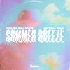 Summer Breeze - Single