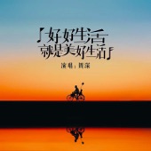 好好生活就是美好生活 artwork