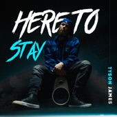 Here to Stay artwork